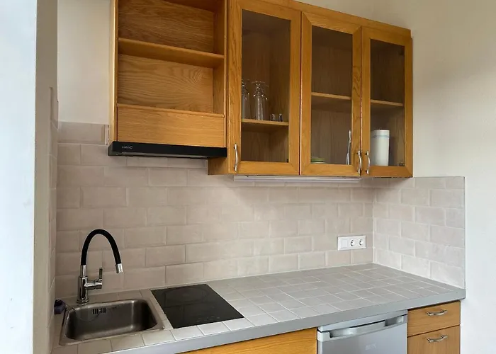 Apartmenttallinas70b *